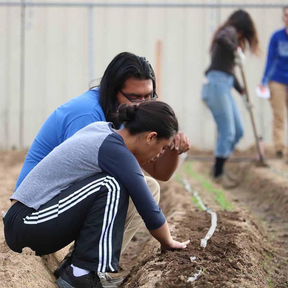 Students planting row crops