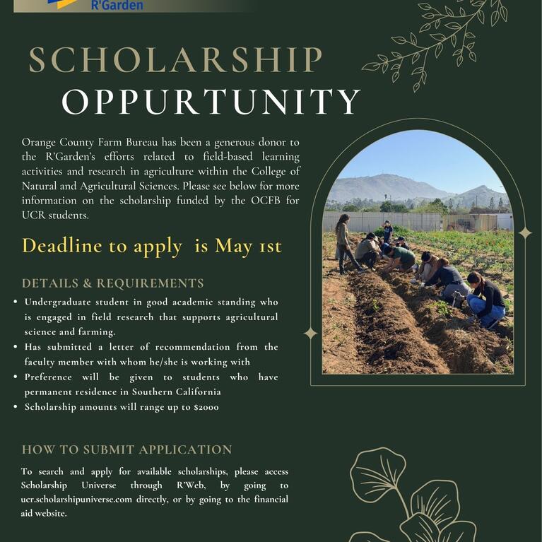 OCFB Scholarship 25-26