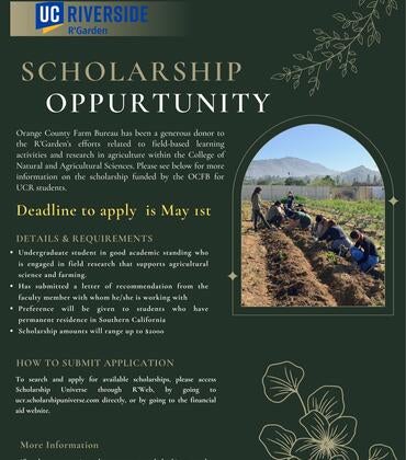 OCFB Scholarship 25-26