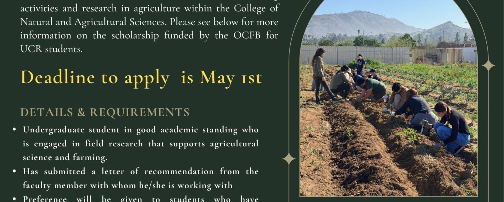 OCFB Scholarship 25-26