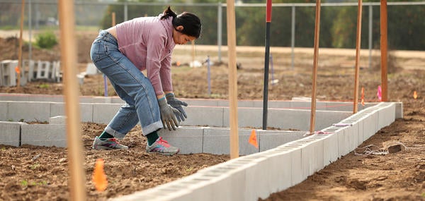 Student Intern Laying out bricks for plots