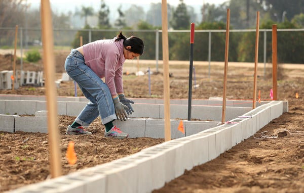 Student Intern Laying out bricks for plots