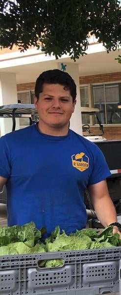 Intern holding produce bin 