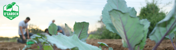 Students planting in background of plant