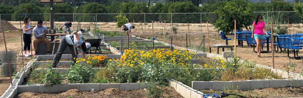 Community garden plots