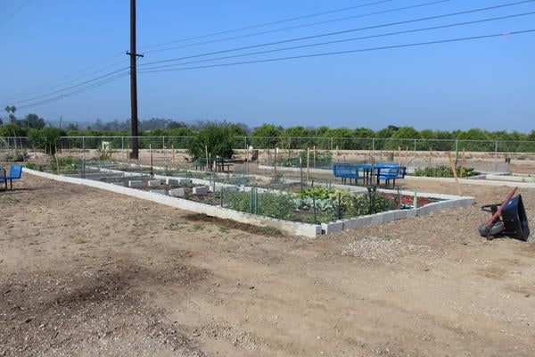 R'Garden Community Plots