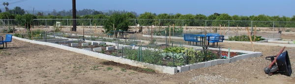 Community plots