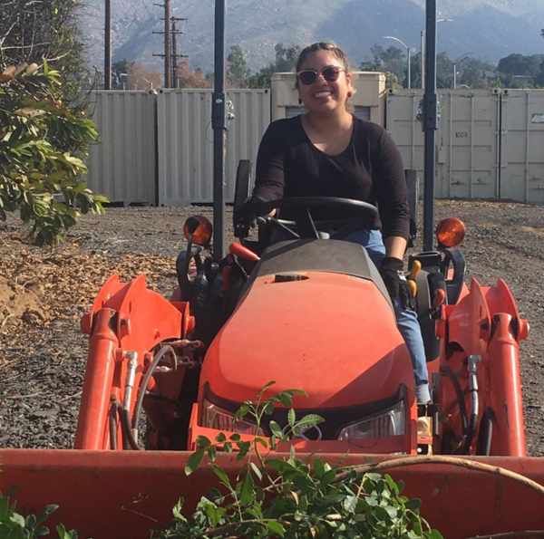 Intern on Tractor 