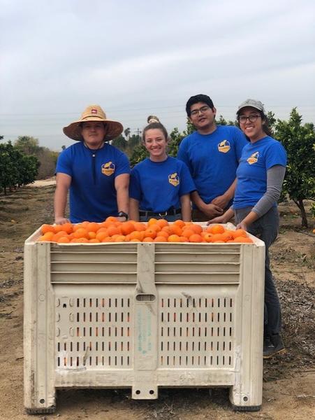 Interns and Orange Bin