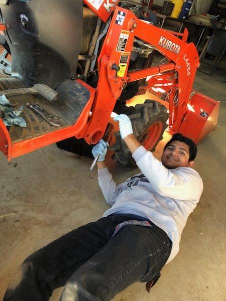 Intern working on tractor