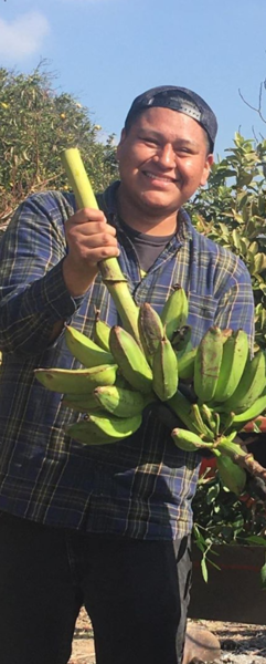 Intern holding Bananas