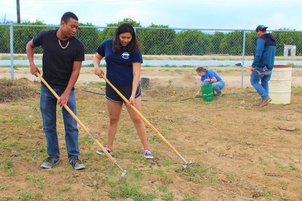 Student volunteers weeding