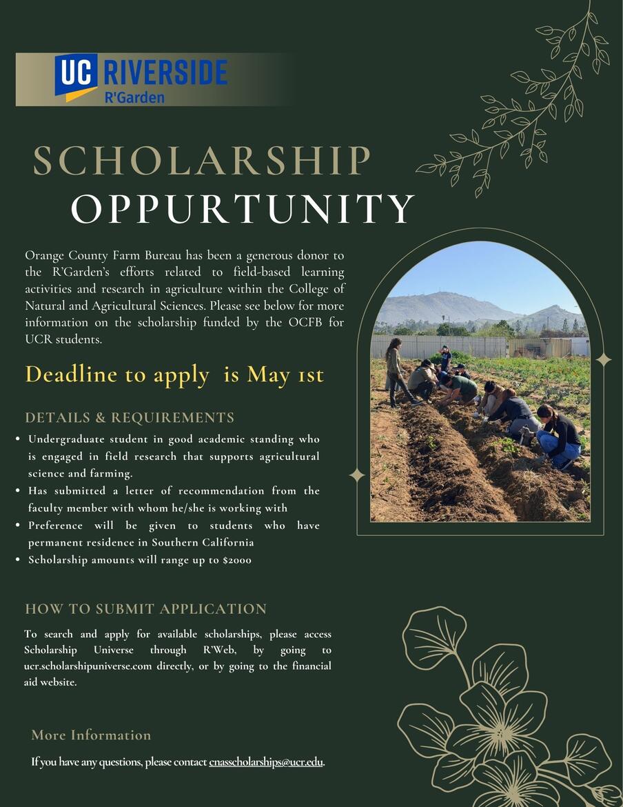 OCFB Scholarship 25-26